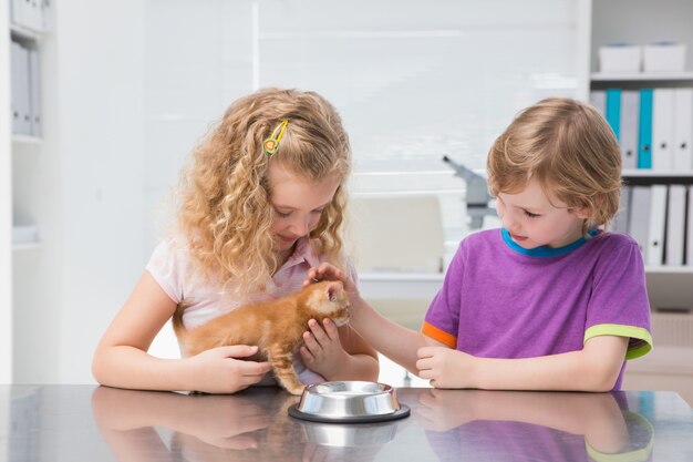 Gelukkige eigenaars aaien hun katten eten