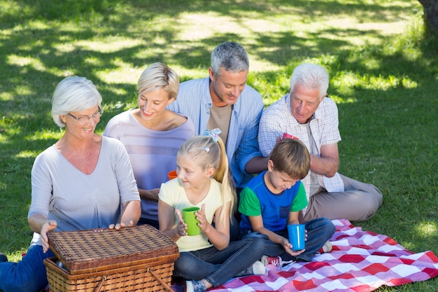 Gelukkige familie die picknick in het park heeft