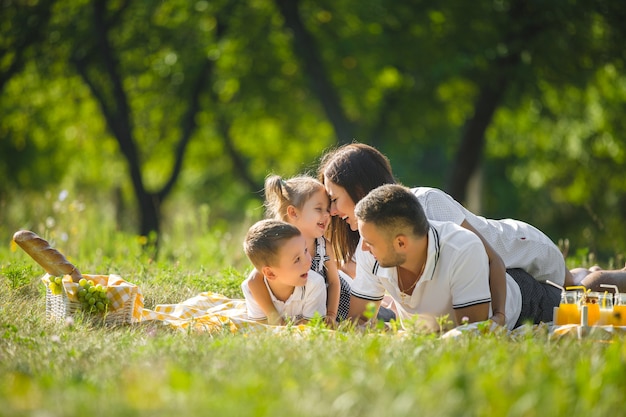 Gelukkige familie op picknick