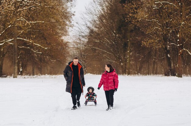 Gelukkige familie sleeën in park op winterdag Hoge kwaliteit foto
