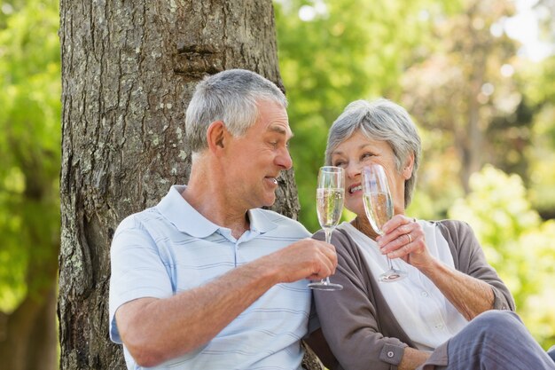 Gelukkige hogere paar roosterende champagne bij park