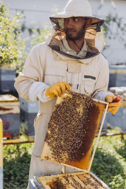 Foto gelukkige indiase bijenhouder haalt een frame met bijen en honing uit een bijenkorf op een bijenboerderij