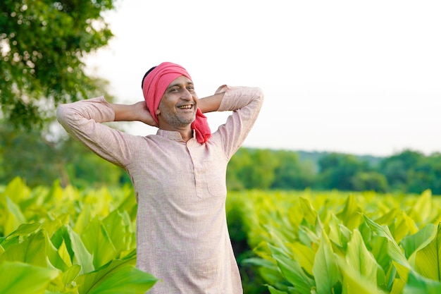 Gelukkige Indische landbouwer bij het groene veld van de kurkumalandbouw