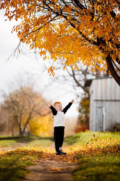 Gelukkige jeugd en de emoties van kinderen zijn de beste ter wereld Gele herfstbladeren in de buurt