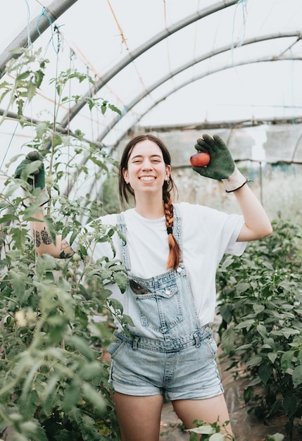 Gelukkige jonge arbeidersvrouw die groenten verzamelt op het werk in een kas collectNew job concept