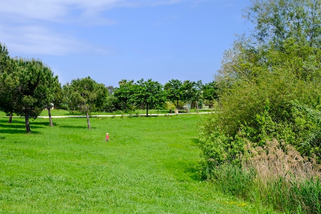 Gelukkige jonge jongen die over een grasgazon loopt.