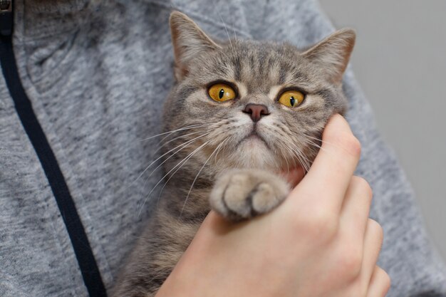 Gelukkige jonge jongen met zijn kat. Huis huisdieren.