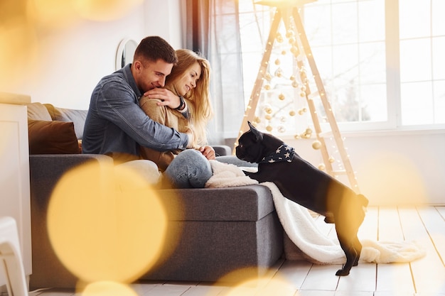 Gelukkige jonge moderne paar zittend op de bank thuis met kerstboom met hun schattige hond.