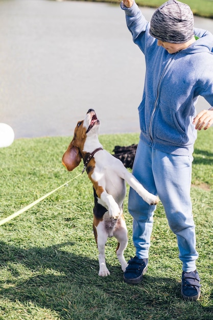 Gelukkige jongen in een blauw trainingspak en grijze hoed speelt met een beagle puppy op een groen gazon tegen de achtergrond van een helder meer op een zonnige heldere dag close-up