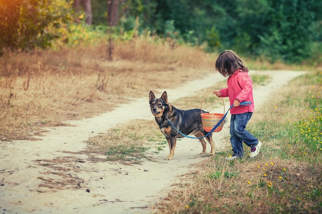 Gelukkige meisje met een hond die in het voorjaar op het platteland loopt