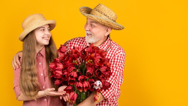 Gelukkige oude grootvader met kleindochter houdt tulpenbloemen vast op gele achtergrond met kopieerruimte