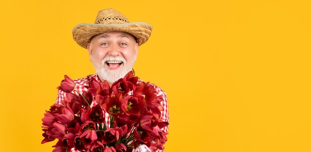Gelukkige oude volwassen man met hoed houdt lente tulp bloemen op gele achtergrond kopie ruimte