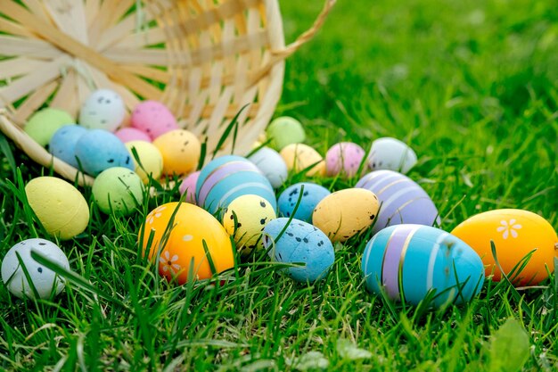 Foto gelukkige paasmand met paaseieren in het gras op een zonnige lente dag paasversieringspaneel