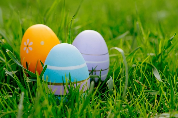 Foto gelukkige pasen pasen eieren op het gras op een zonnige lente dag pasen decoratie banner