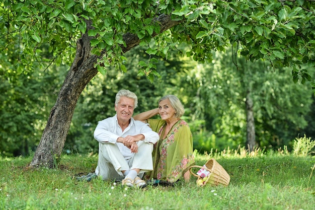 Gelukkige Senior paar buitenshuis