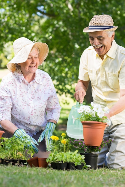 Gelukkige senior paar tuinieren