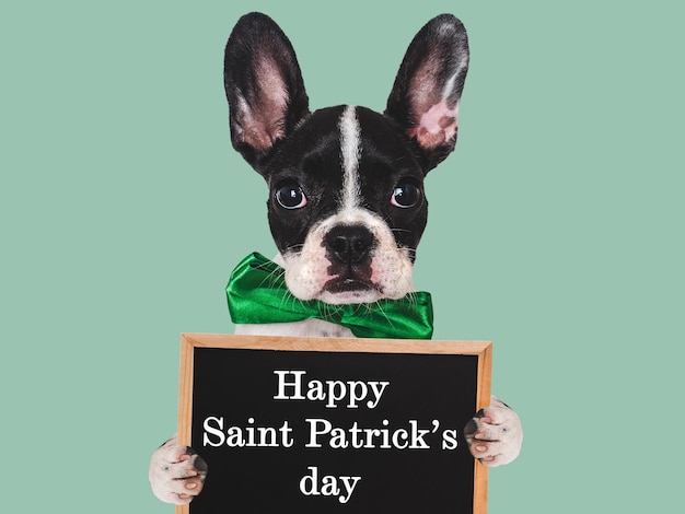 Gelukkige St. Patrick's Day, lieve puppy.