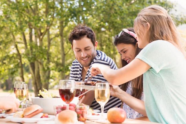 Gelukkige vrienden in het park die lunch hebben