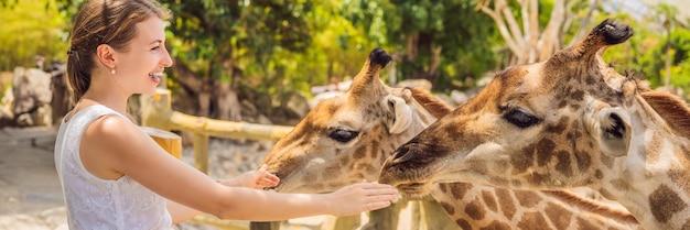 Foto gelukkige vrouw die giraffen in de dierentuin bekijkt en voedt ze heeft plezier met dieren in het safaripark op een warme zomerdag banner long format