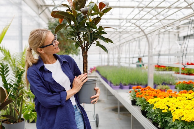 Gelukkige vrouw met grote ficus gekocht in kas