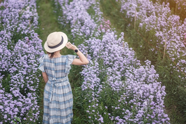 Gelukkige vrouw toerist in blauwe jurk genieten in paarse Margaret bloementuin. reizen, natuur, vakantie en vakantieconcept