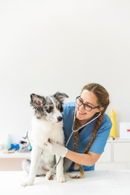 Foto gelukkige vrouwelijke dierenarts die de hond met stethoscoop op lijst in kliniek onderzoeken