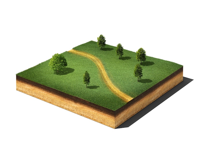 Foto gemalen weggesneden met gras, bomen en voetpad
