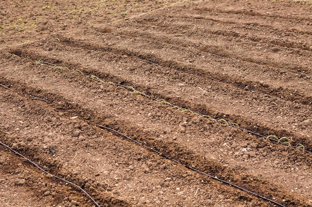 Gemeenschappelijke tuin voorbereid voor aanplant in het vroege voorjaar in stedelijk gebied.