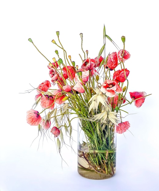 Gemengd boeket van wilde bloemen, grassen en klaprozen, in een glazen vaas.