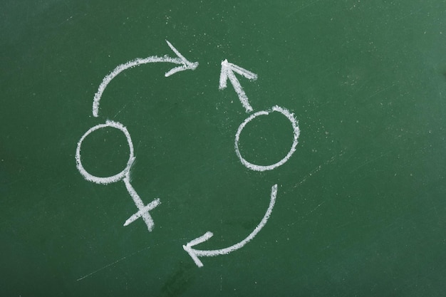 Gender symbols with arrows drawn in chalk on a green chalk
board gender change concept