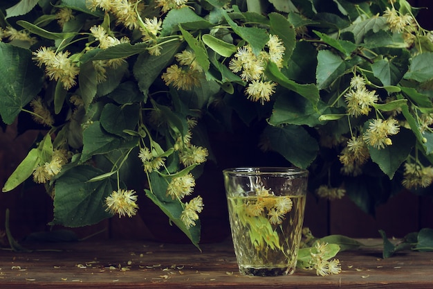 Geneeskrachtig het afkooksel van lindebloemen in een glas op een achtergrond van takken in de waterkruik.