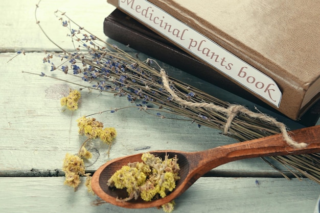 Foto geneeskrachtige planten boek met gedroogde kruiden op tafel close-up