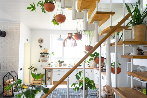 The general plan of a light white modern rustic kitchen with a modular metal staircase decorated with potted plants Interior of a house with homeplants