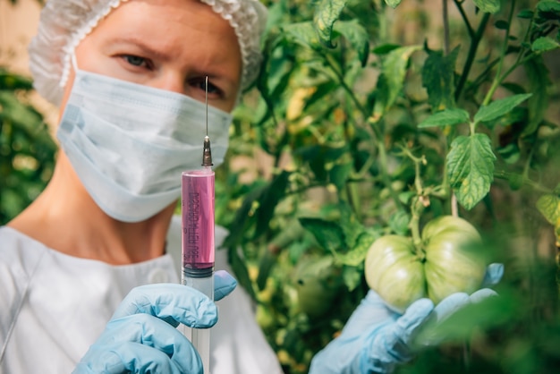 Genetisch gemodificeerd niet-biologisch voedselconcept