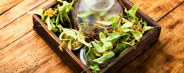 Genezende lindethee in een glazen theepot. Geurige natuurlijke thee. Kruidenmedicijn.