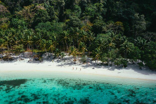 Genieten van de tijd op het strand. Mensen lopen op het witte zand, met tropische jungle. Concept over reizen en natuur