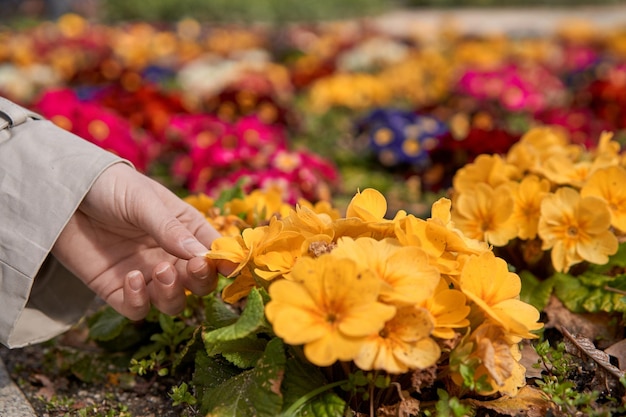 Genietend van de eerste bloemen van de lente raakt een jonge blanke vrouw zachtjes een bloem aan