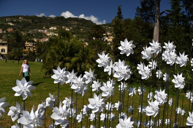 ゲノバ イタリア 2017年4月27日 - ゲノヴァのユニークなシナリオでユーロフローラがゲノバに戻ります