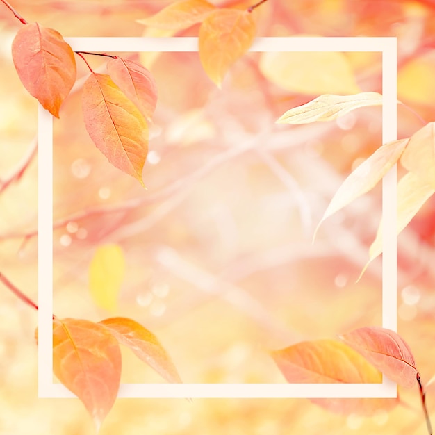 Gentle delicate autumn natural background with frame Pink and yellow leaves in the autumn forest Free copy space for your design and text Magical nature Square image