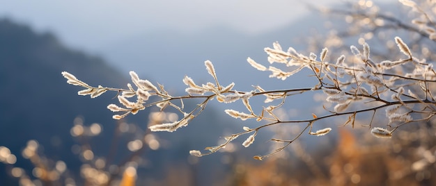 Gentle mountain forest breeze snowy sky backdrop swaying winter plants and serene branches in a tranquil natural scene