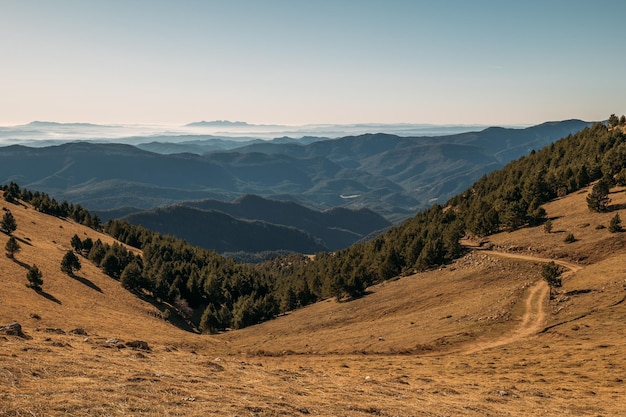 写真 晴れた 空 の 下 に 散らばっ て いる 木々 が ある 柔らかい 山 の 斜面