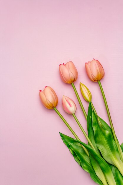 ピンクのテーブルに穏やかなピンクのチューリップの花束