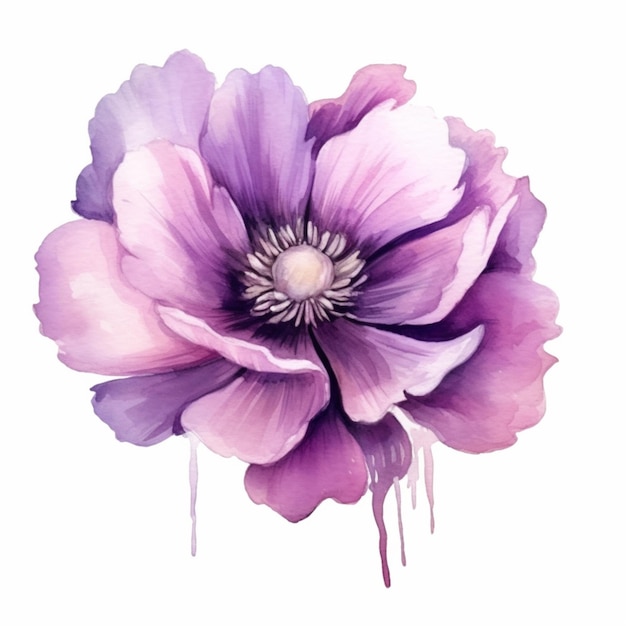 A gentle portrayal of an anemone flower in a watercolor illustration