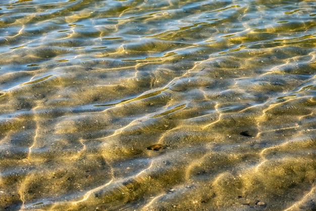 Gentle and relaxing waves of clear water on the shore of a lake