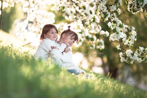 Gentle sisters hug apple blossom sunny childhood