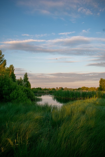 Gentle sunrise over the lake in summer