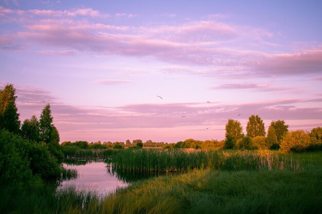 Gentle sunrise over the lake in summer