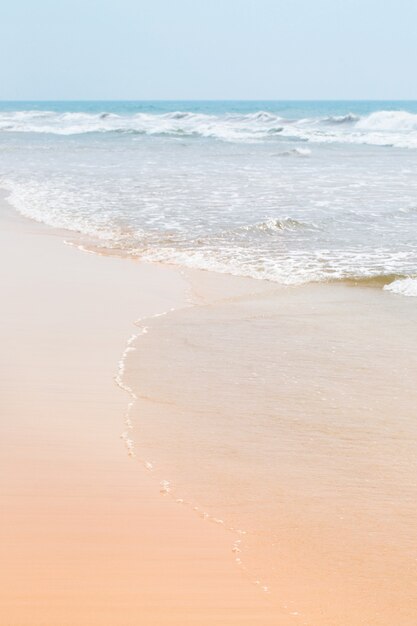 Gentle wave on golden sand by the ocean