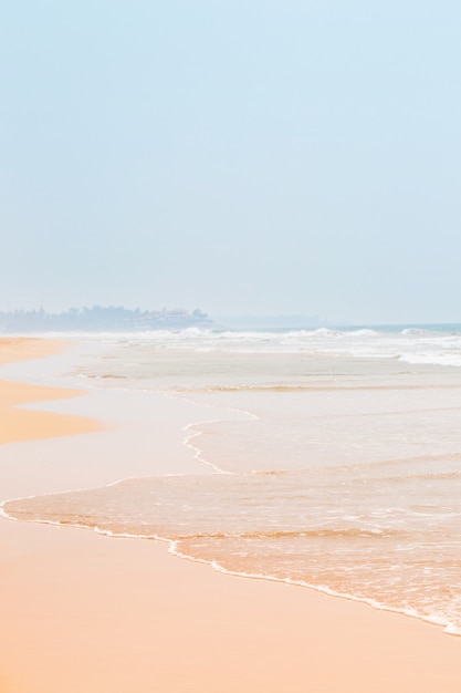 Gentle wave on golden sand by the ocean