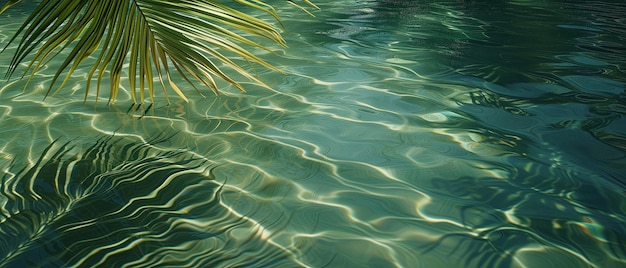 Gentle waves on transparent water palm leaf shadows dancing on the surface panoramic view